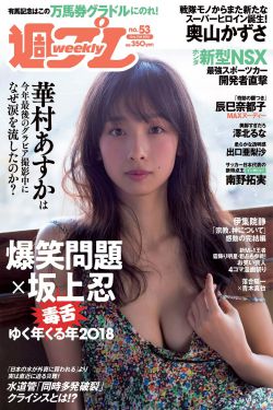 红娘子演员表